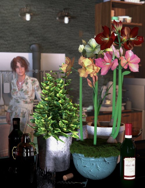 Click here to see preview images for "Tropical Flowers - Amaryllis" Tropical Flowers - Amaryllis