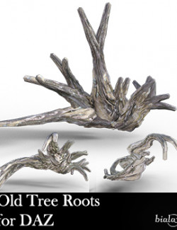 Old Tree Root for DAZ
