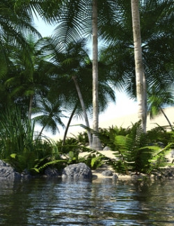 Oasis