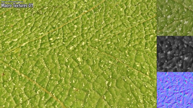 Click here to see preview images for "Macro Texture Resource: Macro Textures 01" Macro Texture Resource: Macro Textures 01