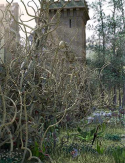 Tanglewood - Briar Patch for DAZ Studio