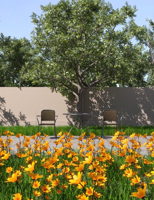 Click here to see preview images for "My Little Garden" My Little Garden