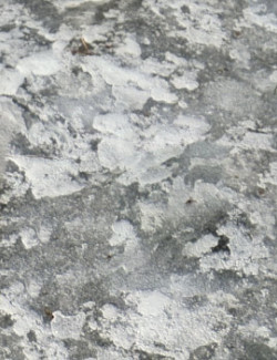 Photo Textures: Surface of Ice