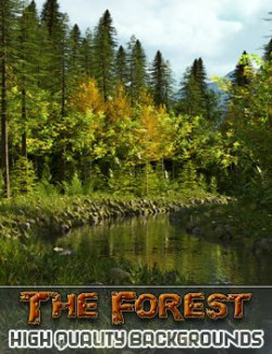 The Forest - Backgrounds