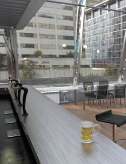 Rooftop Pool Bar for DAZ and Poser