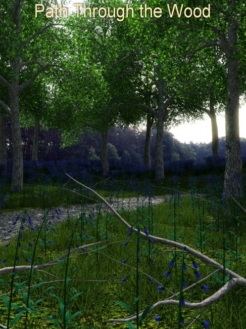 Click here to see preview images for "Path Through the Wood" Path Through the Wood