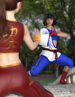 KungFu Fury Textures Add-on