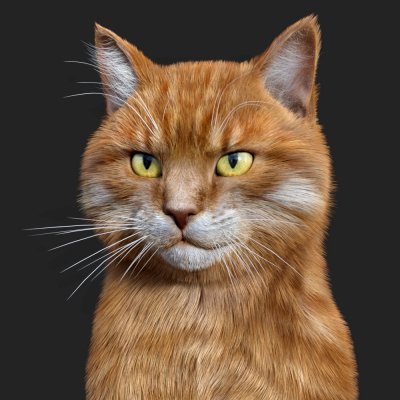 Click here to see preview images for "Cat Zeus" Cat Zeus