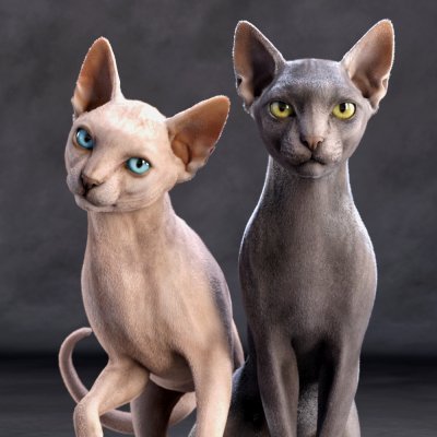 Click here to see preview images for "Sphynx For Cat Zeus" Sphynx For Cat Zeus
