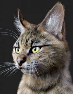 Savannah for Cat Mars