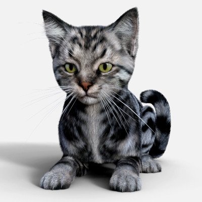 Click here to see preview images for "Kitten Mars" Kitten Mars