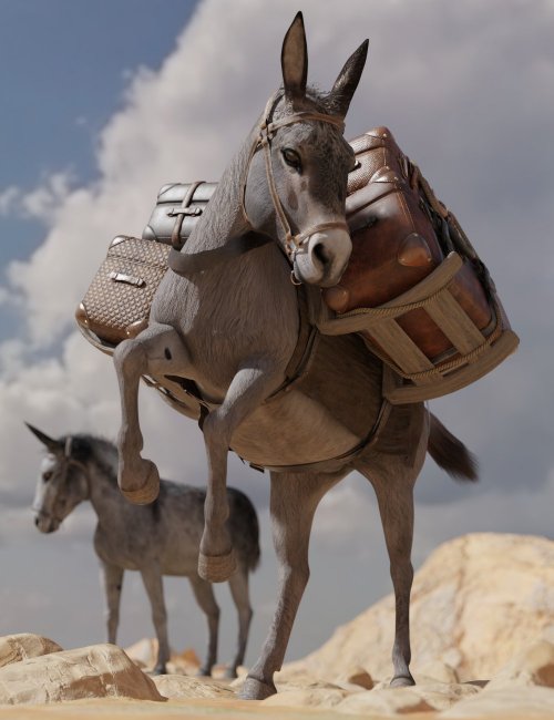 Click here to see preview images for "DS Cadichon for Daz Horse 2" DS Cadichon for Daz Horse 2