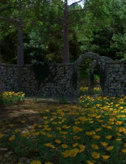 The Forest Portal