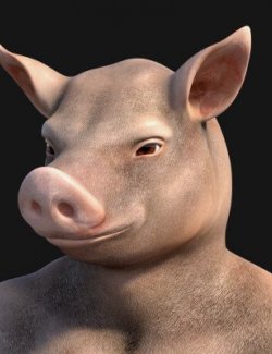 Mr Pigle