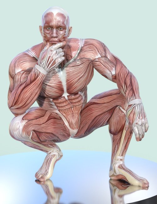 Click here to see preview images for "Masculine Muscle Maps for Genesis 9" Masculine Muscle Maps for Genesis 9