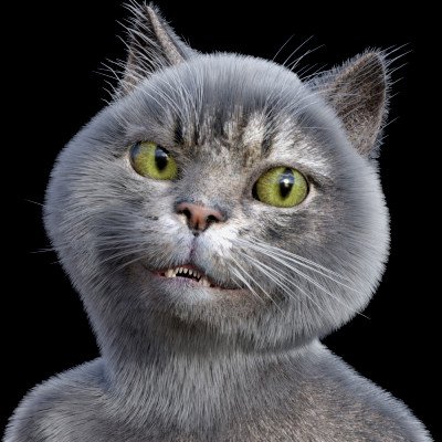 Click here to see preview images for "Catoon" Catoon