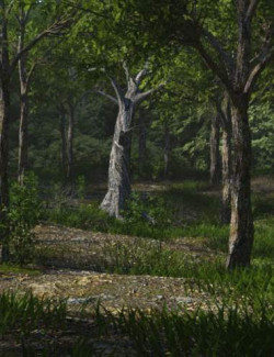 The Grove