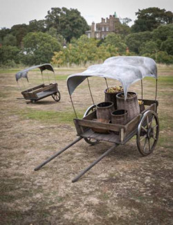 OR3D Medieval Cart 02