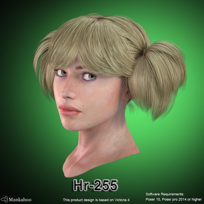 Click here to see preview images for "Hr-255" Hr-255
