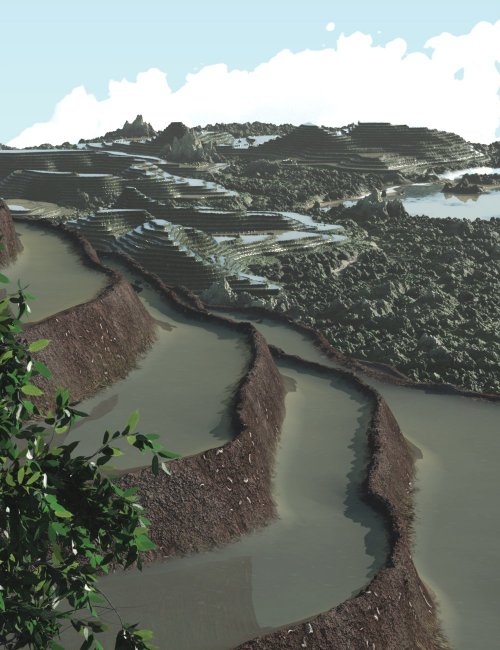 Click here to see preview images for "Terraced Fields" Terraced Fields