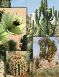 Desert Cacti and Joshua Trees