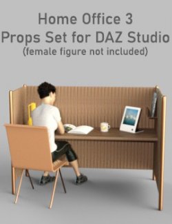 Home Office 3