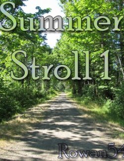 Summer Stroll 1
