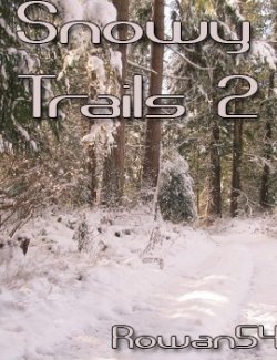 Snowy Trail 2