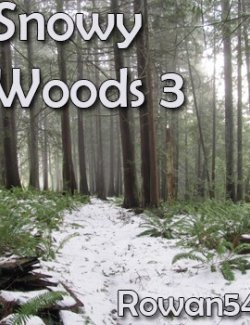 Snowy Woods 3