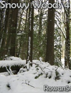 Snowy Woods 4