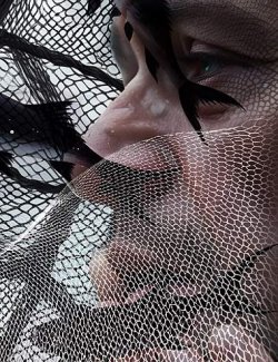 FISHNET Photoshop Brushes