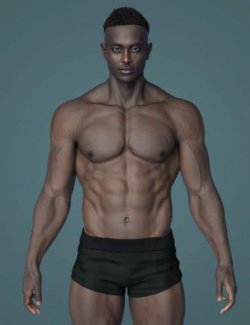 Harlow 9 Swole Shape Add-on