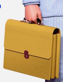 3Dg Briefcase Vol.01 for Genesis 8