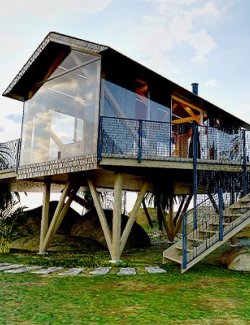Modern Tree Cabin