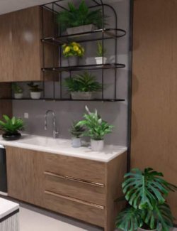 FG House Plants