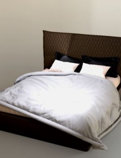 AQ3D Master Bed 29