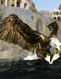 Power Eagle for Daz Studio