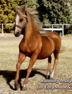 Running Morph for Easymane&Tail