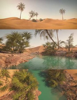 Desert Pond