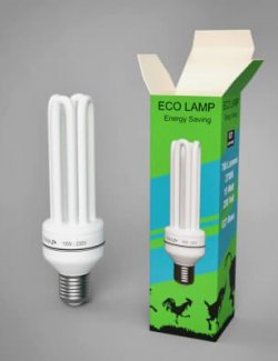 Fluorescent Lamp With Box