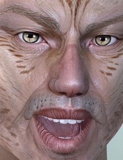 2nd Face - Feline 1 MATs