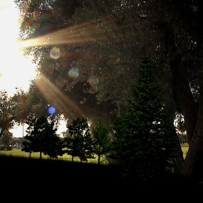 Click here to see preview images for "Landscape Valley (Complete Environment)" Landscape Valley (Complete Environment)