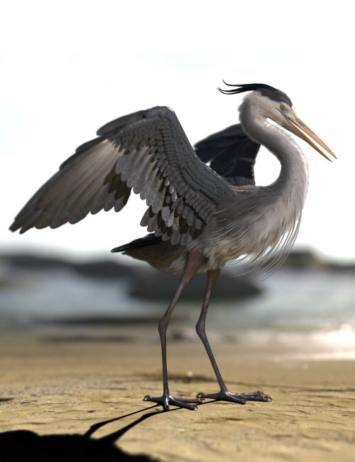 Click here to see preview images for "Heron by AM" Heron by AM