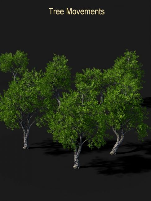 Click here to see preview images for "Tree Movements" Tree Movements