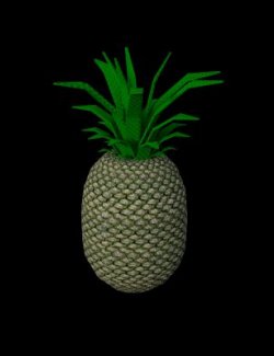 Pineapple and Slice