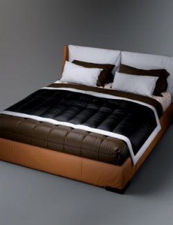 AQ3D Master Bed 65