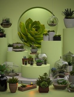 Scenefillers- Succulents