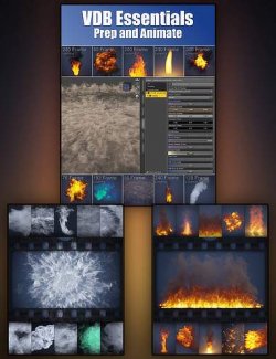VDB Essentials- Prep and Animate Bundle