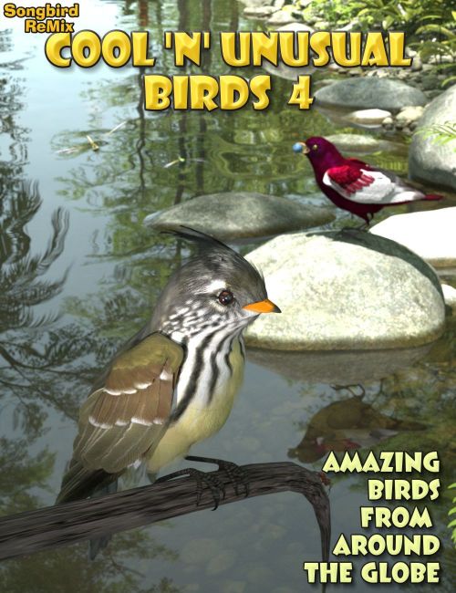 Click here to see preview images for "Songbird ReMix Cool & Unusual Birds 4" Songbird ReMix Cool & Unusual Birds 4