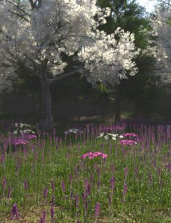 My Enchanted Garden